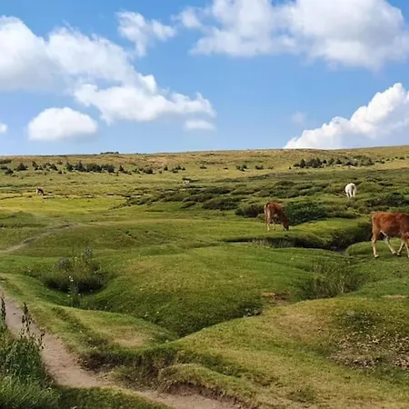 Pour 46 Pers Au Cœur De Porto-vecchio Appartement *