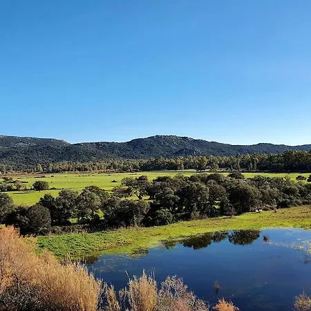 Pour 46 Pers Au Cœur De Porto-vecchio