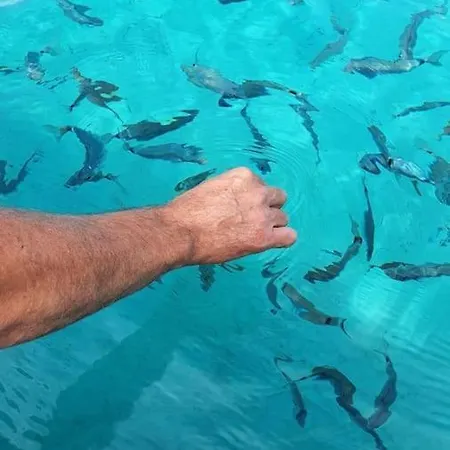 Appartement Pour 46 Pers Au Cœur De Porto-vecchio *