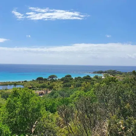 Pour 46 Pers Au Cœur De Porto-vecchio
