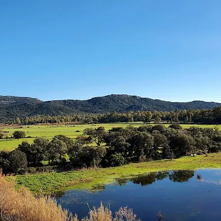 Pour 46 Pers Au Cœur De Porto-vecchio Appartement