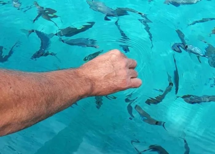 Apartamento For 4 Ou 6 People In The Heart Of Porto-vecchio Porto-Vecchio (Corsica)