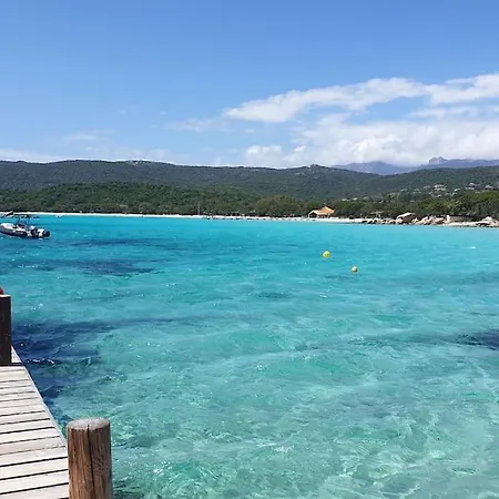 Appartement Pour 4/ 6 Pers. A 10 Mn Des Plages... Porto-Vecchio (Corsica)
