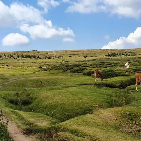 For 46 People In The Heart Of Porto-vecchio Apartamento Porto Vecchio