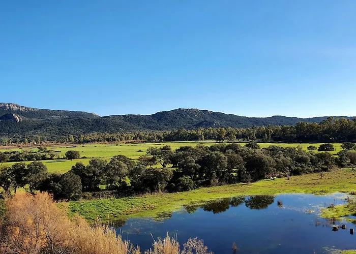 For 4 Ou 6 People In The Heart Of Porto-vecchio Appartement