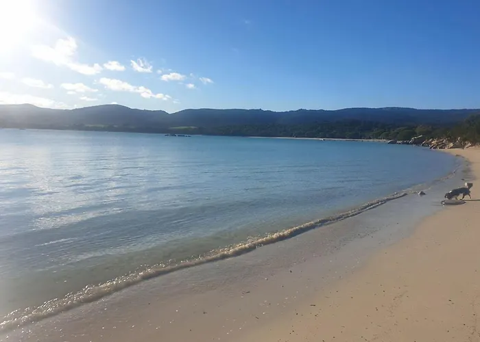 For 4 Ou 6 People In The Heart Of Porto-vecchio