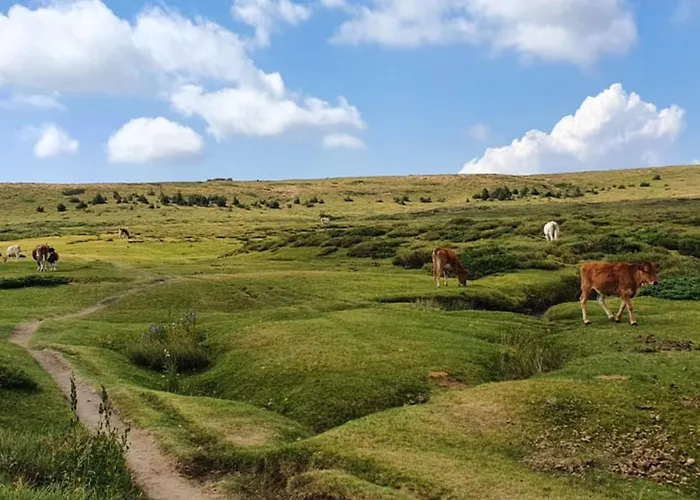 For 4 Ou 6 People In The Heart Of Porto-vecchio Appartement Porto-Vecchio (Corsica)